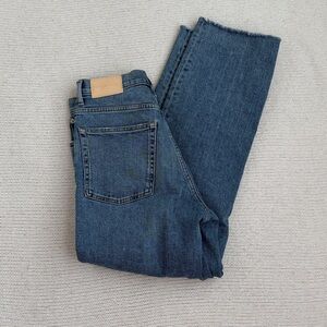 Everlane The Way-High Jean Size 26